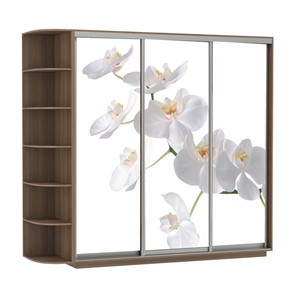 Шкаф 3-дверный Экспресс со стеллажом, 2100х600х2200, Орхидея белая/шимо темный в Липецке