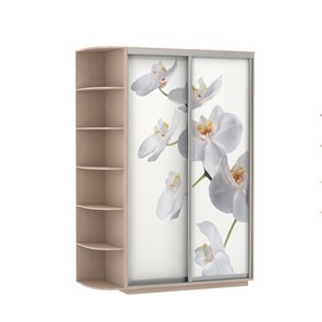 Шкаф 2-створчатый Экспресс 1700x600x2200, со стеллажом, Орхидея белая/дуб молочный в Липецке