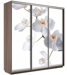 Шкаф 3-дверный Экспресс 2400х600х2200, Орхидея белая/шимо темный в Липецке