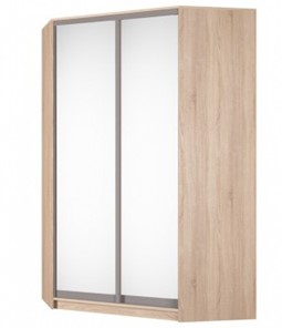 Шкаф угловой Аларти (YA-230х1400(602) (4) Вар. 3; двери D5+D5), с зеркалом в Липецке