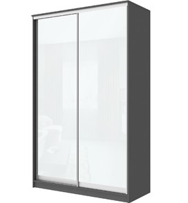 Шкаф 2-х дверный Хит-22-4-12/2-22 с цветным стеклом, белое №10, Графит в Липецке