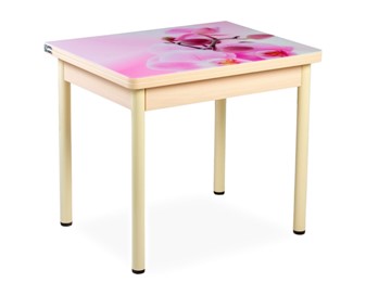 Кухонный пристенный стол СПА-02 СТФ, молочный дуб/фотопечать орхидея/опоры бежевый в Липецке