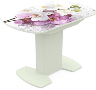 Кухонный стол раскладной Корсика исп. 2 Фотопечать (Цветы №44) 1200(1515)*800 в Липецке