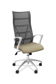 Офисное кресло для руководителя Топ X белый каркас, сетка/ткань TW / серая/светло-серая в Липецке
