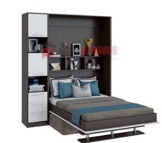 Кровать-шкаф с диваном DetalMaster Бела 1, с полкой ножкой с 1 пеналом, 1600х2000, венге/белый в Липецке