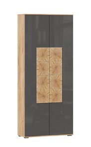 Шкаф двухстворчатый Фиджи с декоративными накладками 659.310, Дуб Золотой/Антрацит в Липецке