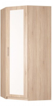 Распашной шкаф угловой Реал (YR-230х1034 (3)-М Вар.1), с зеркалом в Липецке - изображение