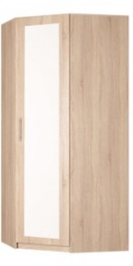 Распашной шкаф угловой Реал (YR-230х884 (9)-М Вар.1), с зеркалом в Липецке - предосмотр