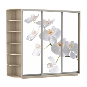 Шкаф 3-створчатый Экспресс со стеллажом, 2100х600х2200, Орхидея белая/шимо светлый в Липецке