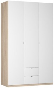 Шкаф 3-дверный Реал распашной (R-230х135х45-2-TR), без зеркала в Липецке