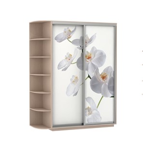 Шкаф 2-дверный Экспресс 1900x600x2200, со стеллажом, Орхидея белая/дуб молочный в Липецке