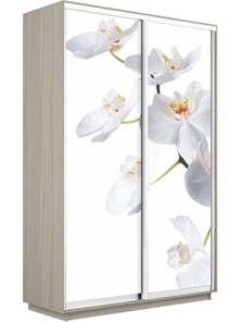Шкаф 2-дверный Экспресс 1600x450x2200, Орхидея белая/шимо светлый в Липецке