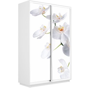 Шкаф Экспресс 1600x450x2400, Орхидея белая/белый снег в Липецке