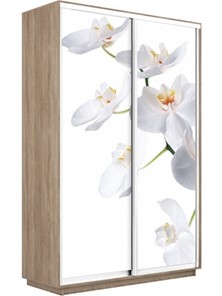 Шкаф Экспресс 1600x450x2400, Орхидея белая/дуб сонома в Липецке