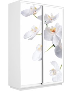 Шкаф Экспресс 1600x600x2200, Орхидея белая/белый снег в Липецке