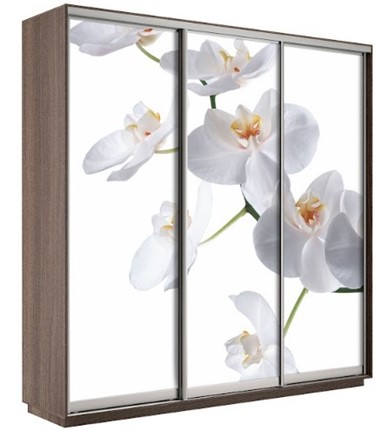 Шкаф Экспресс 1800х600х2200, Орхидея бела/шимо темный в Липецке - изображение