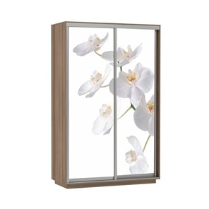 Шкаф 2-створчатый Экспресс 1600x600x2200, Орхидея белая/шимо темный в Липецке