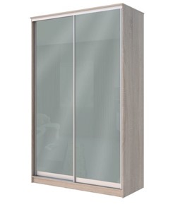 Шкаф 2-х створчатый Хит-22-14-22 с цветным стеклом, средне-серый 074, Дуб сонома в Липецке