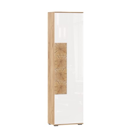 Шкаф одностворчатый Фиджи, 659300, белый/дуб золотой в Липецке - изображение