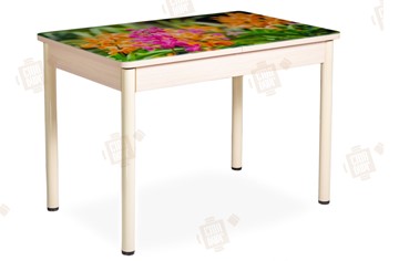 Кухонный раскладной стол Айсберг-02 СТФ, Дуб ЛДСП/полевые цветы/ноги крашеные в Липецке