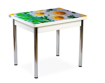 Кухонный пристенный стол СПА-01 СТФ, белый/фотопечать ромашки/опоры прямые хром в Липецке