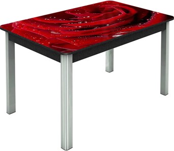 Обеденный раздвижной стол Гамбург исп.2 ноги метал. крашеные №23, Фотопечать (Цветы №39) в Липецке