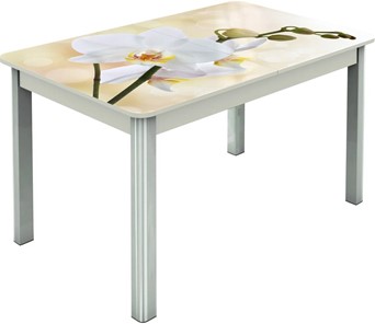 Кухонный раскладной стол Гамбург исп.2 ноги метал. крашеные №23, Фотопечать (Цветы №5) в Липецке