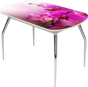 Обеденный раздвижной стол Ривьера исп.1 ноги метал. крашеные №24 Фотопечать (Цветы №16) в Липецке