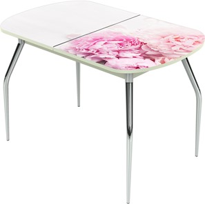 Обеденный раздвижной стол Ривьера исп.1 ноги метал. крашеные №24 Фотопечать (Цветы №49) в Липецке