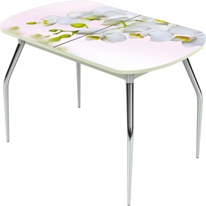 Кухонный стол раскладной Ривьера исп.1 ноги метал. крашеные №24 Фотопечать (Цветы №7) в Липецке