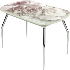 Кухонный стол раздвижной Ривьера исп.2 ноги метал. крашеные №24 Фотопечать (Цветы №41) в Липецке