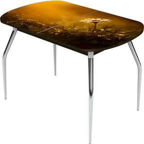 Кухонный стол раскладной Ривьера исп.2 ноги метал. крашеные №24 Фотопечать (Цветы №43) в Липецке