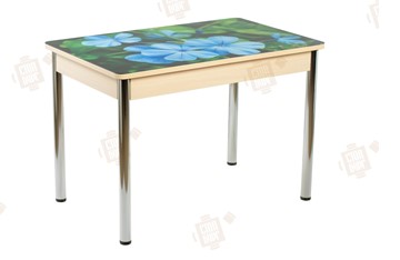 Кухонный стол раздвижной Айсберг-01 СТФ, дуб/фотопечать фиалка/ноги хром прямые круглые в Липецке