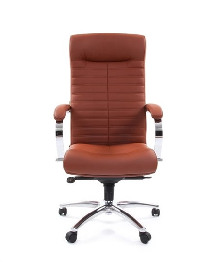 Кресло компьютерное CHAIRMAN 480 Экокожа Terra 111 (коричневая) в Липецке - изображение 1