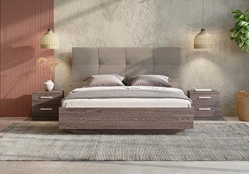 Двуспальная кровать с механизмом Victoria (ясень анкор) 160х190 в Липецке