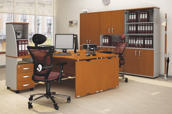 Комплект офисной мебели Милан для 2 сотрудников с тумбочками и большим шкафом в Липецке - изображение