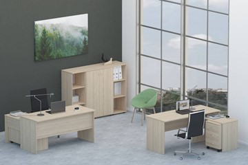 Офисный набор мебели Twin для 2 сотрудников со шкафом для документов в Липецке - предосмотр