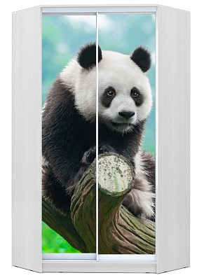 Шкаф угловой Хит-У-24-4-77-29, Панда, Белый в Липецке - изображение