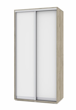 Шкаф-купе 2-х створчатый О41, Серый дуб - Белый в Липецке - изображение