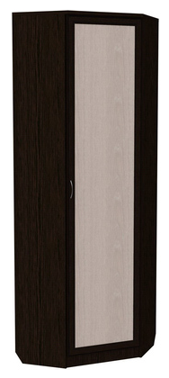 Шкаф распашной 402 угловой со штангой, цвет Венге в Липецке - изображение