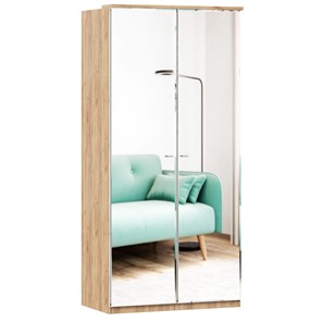 Шкаф двухстворчатый с 2-мя зеркалами Фиджи, 659.238, цвет белый в Липецке