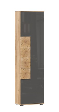 Шкаф одностворчатый Фиджи с декоративными накладками 659.300, Дуб Золотой/Антрацит в Липецке - изображение