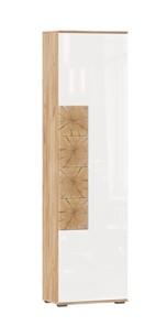 Шкаф одностворчатый Фиджи с декоративными накладками 659.300, Дуб Золотой/Белый в Липецке
