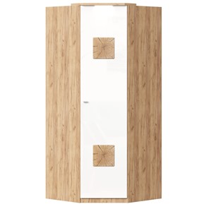 Шкаф угловой 45 с декоративной накладкой Фиджи, 659.248, белый в Липецке - предосмотр
